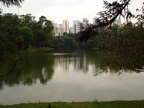 Contraste de São paulo