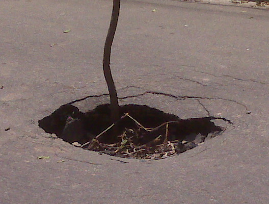 Buraco na rua