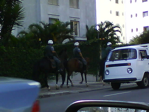 Cavalos na calçada