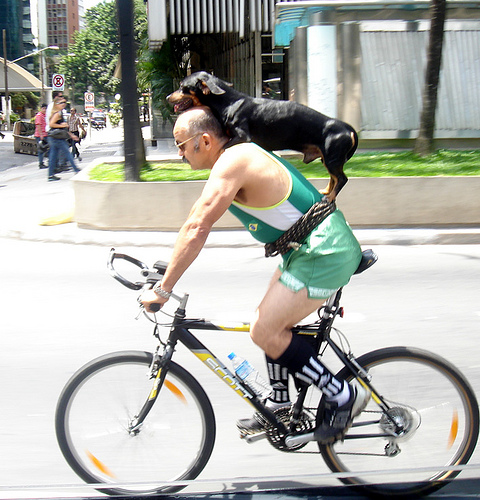 O ciclista e o cachorro