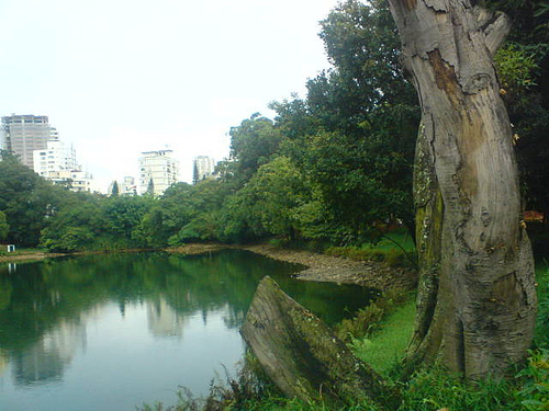 Lago da Aclimação está cheio