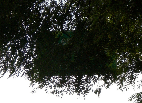 Placa Sumare coberta