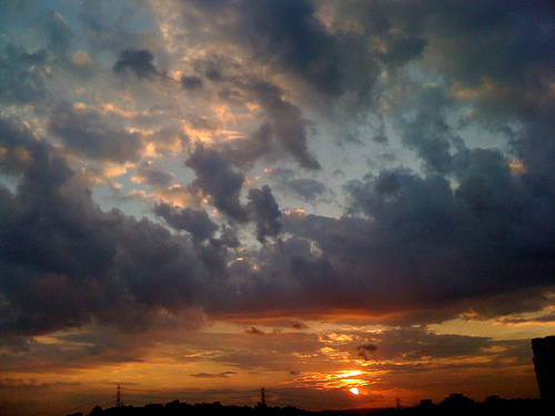 Maria Lucia Solla compartilha com a gente seu olhar do outono de São Paulo