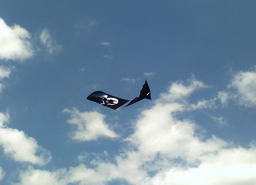 Fernanda DominguesVillalobos