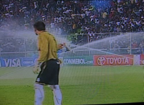 Teve de encarar até a chuva artificial