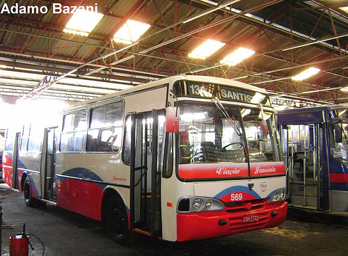 ALPHA - NOVA PINTURA 1