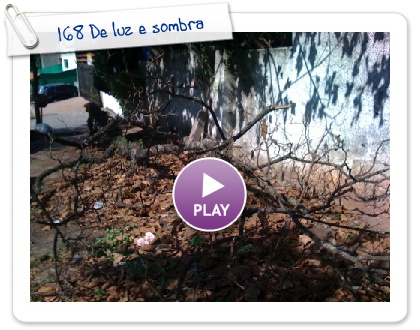 Click to play this Smilebox slideshow: 168 De luz e sombra