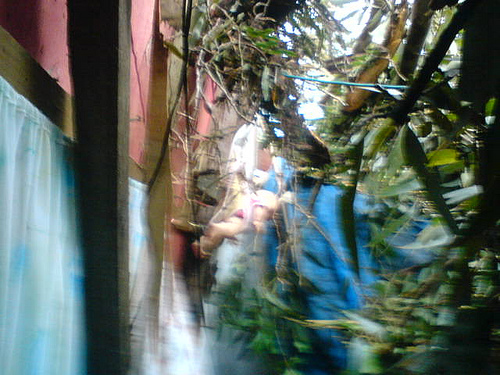 Árvore cai sobre casa