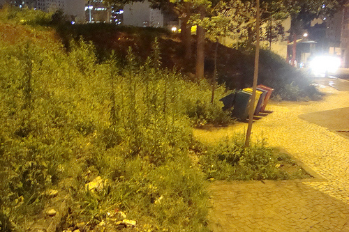 Praça da Câmara Municipal de São Paulo