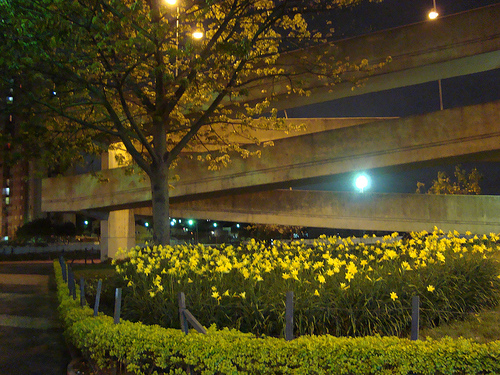 Primavera em São Paulo