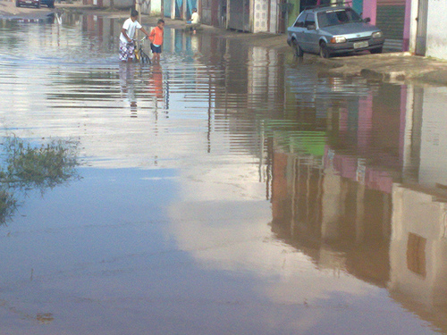 Jardim Romano Pessoas Alagadas (Cátia Toffoletto)