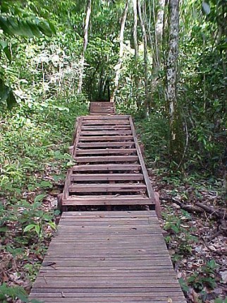 Vagafogo, Pirenópolis