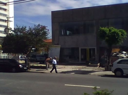 Árvore que vai cair