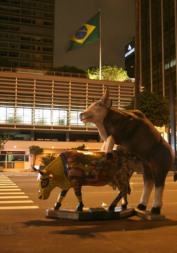 Touro_Bandido_Paulista