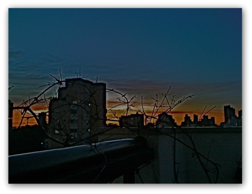 De armadilha do mundo moderno