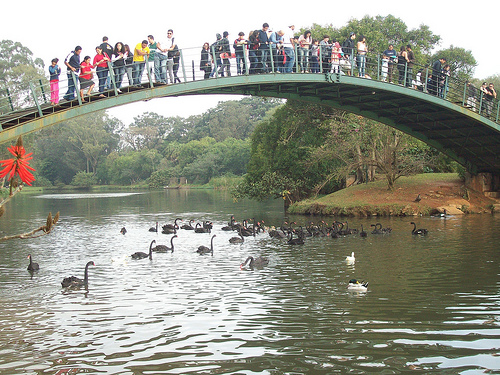 Parque do Ibirapuera