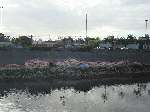 Arte no Rio Tietê