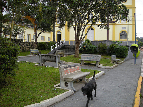 Banco de Taiaçupeba