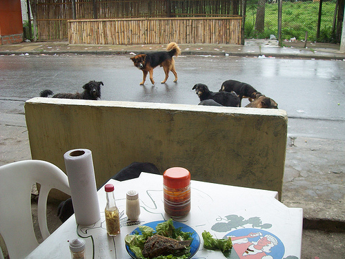 Ilha do Bororé São Paulo