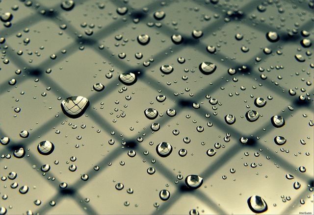 5425115489_e2019a7e3a_z