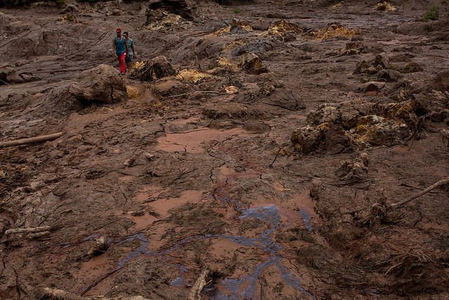 23029923542_22dc223604_z